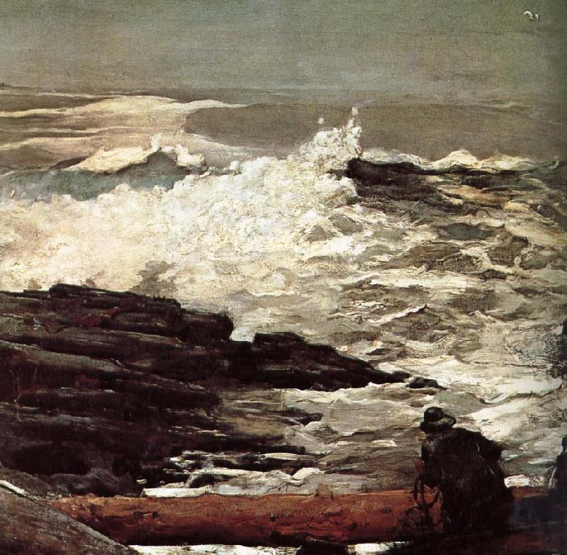 Winslow Homer Driftwood France oil painting art